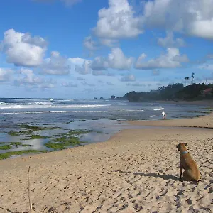 Round House Inn Bathsheba